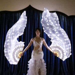 3697 Led Silk Fans Veils For Belly Dance, Rechargeable Light Up